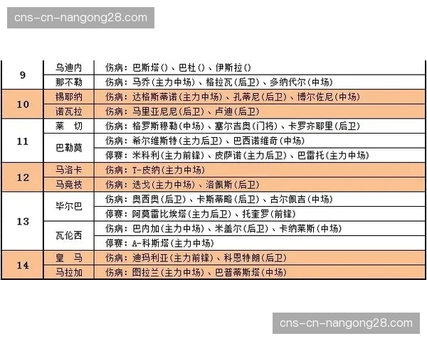 意大利足协提议向足彩收1%税，专项用于足球基础设施建设